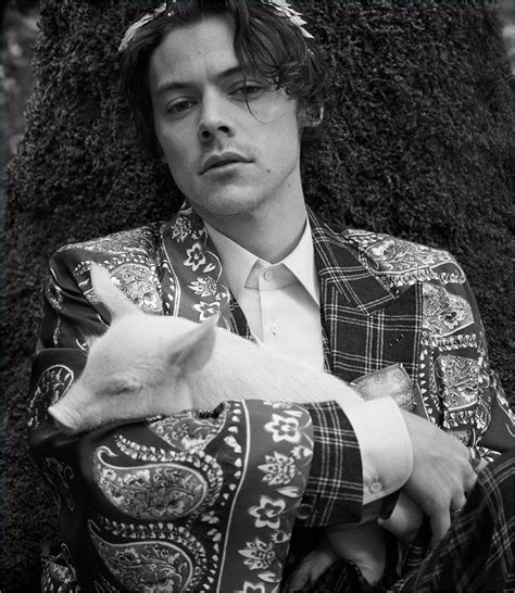 harry styles gucci tailoring campaign smiling|Harry Styles Stars In Second Gucci Campaign For Cruise 2019 .